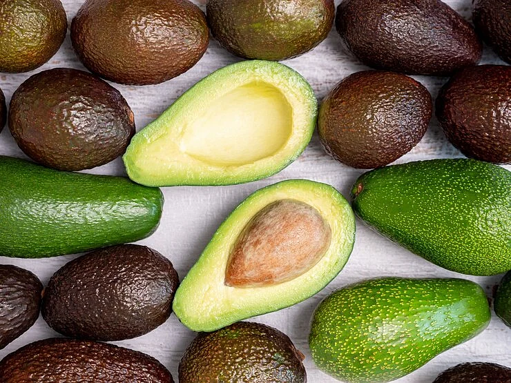 Avocado 6