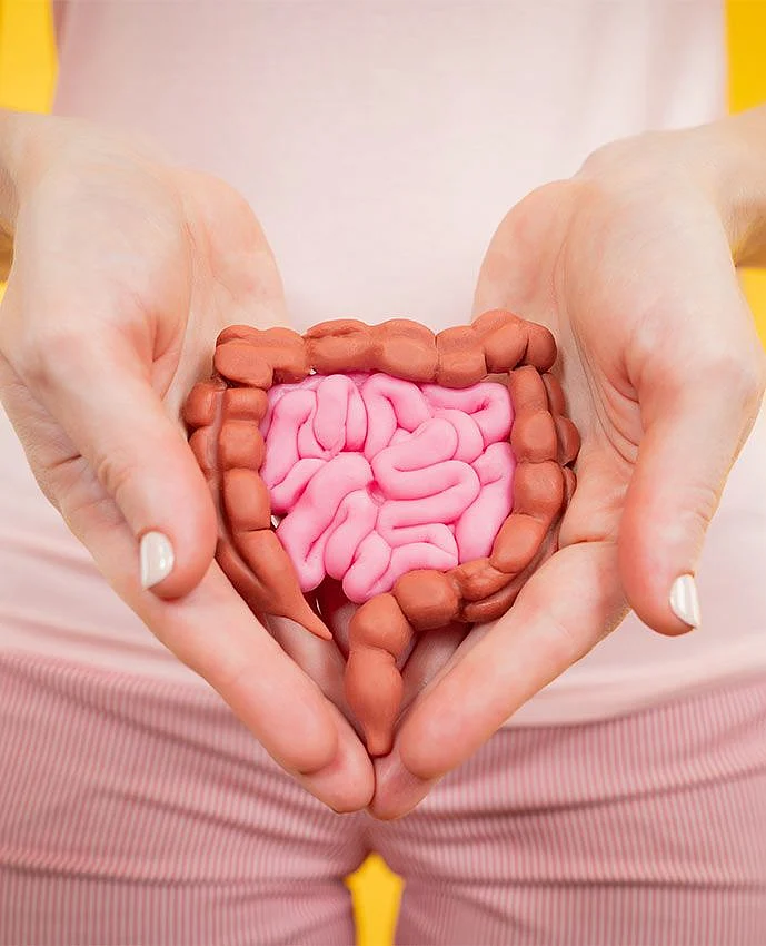 Nourish Your Gut A Comprehensive Diet Plan for Optimal Digestive Health