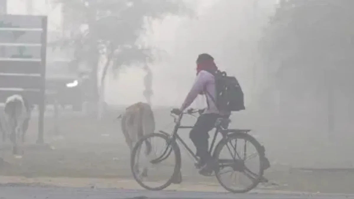 delhi