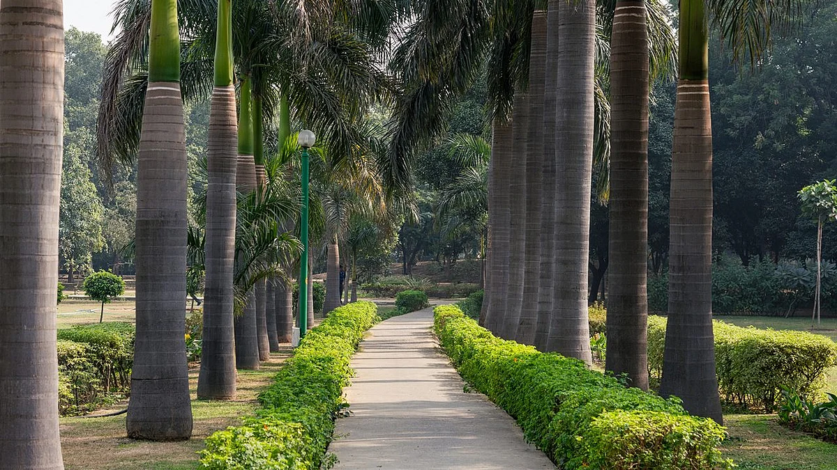 nehru park