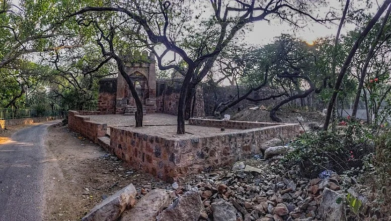 Dwarka sec 9 Haunted Tree