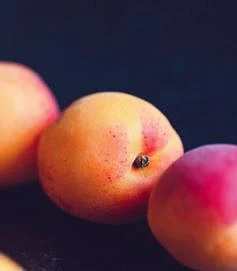 Khubani 5