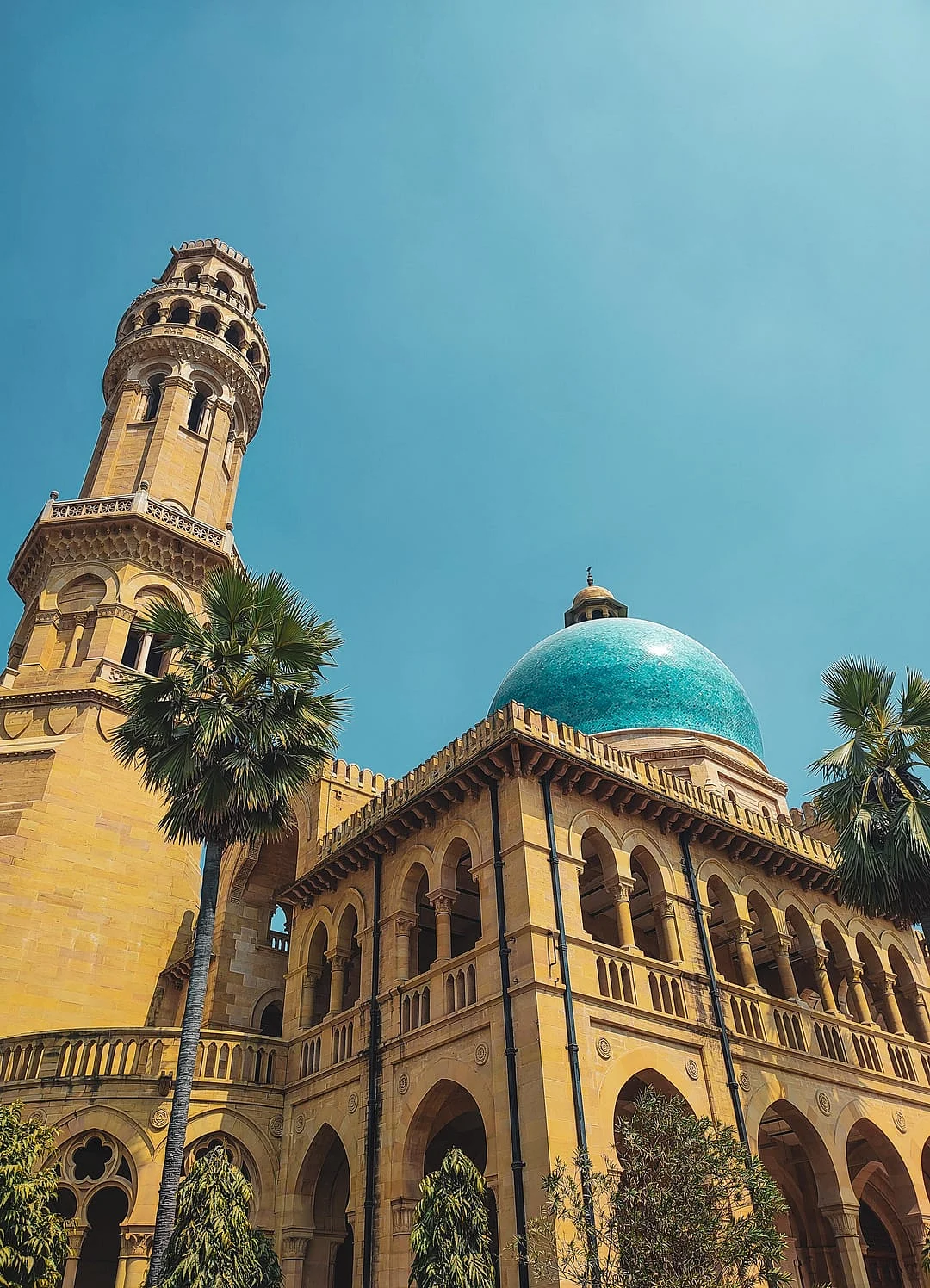 allahabad university 8