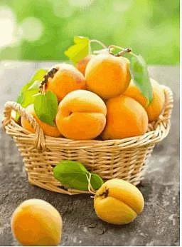 Khubani 8