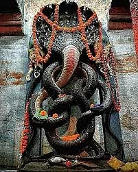 Nagvasuki Temple Prayagraj 2