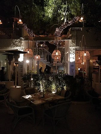 Olive Kitchen Bar