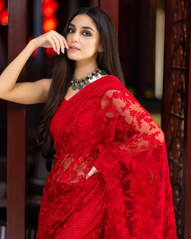 red net fabric saree
