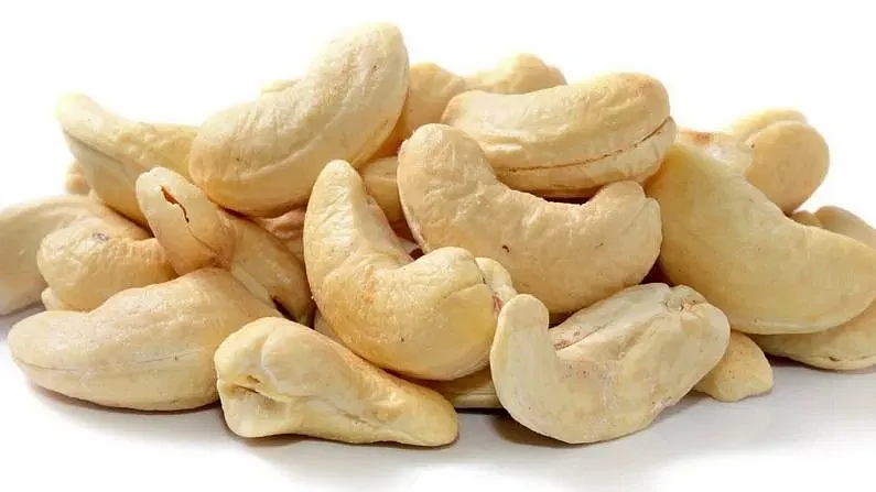 Cashew