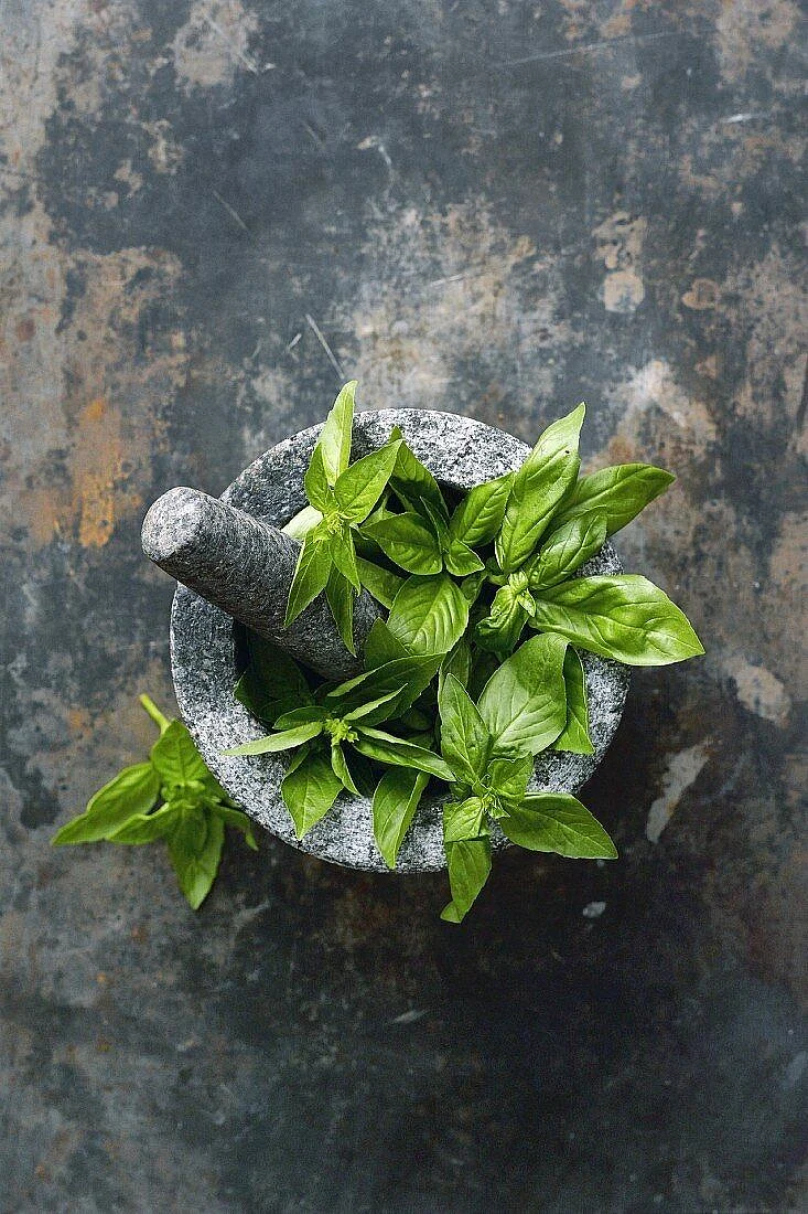 Basil leaves in a mortar – License Images