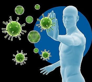 immune system 2