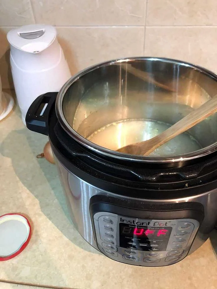 pressure cooker 10