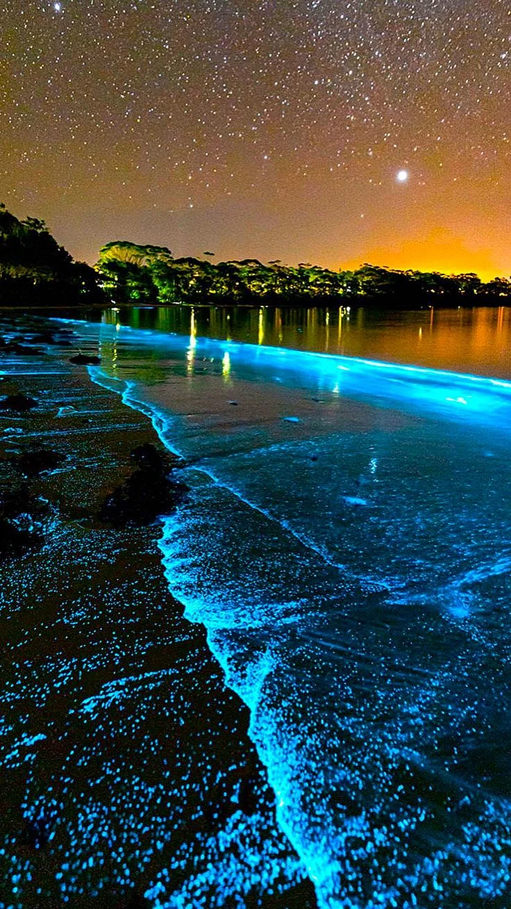 beautiful places nature mauritius night
