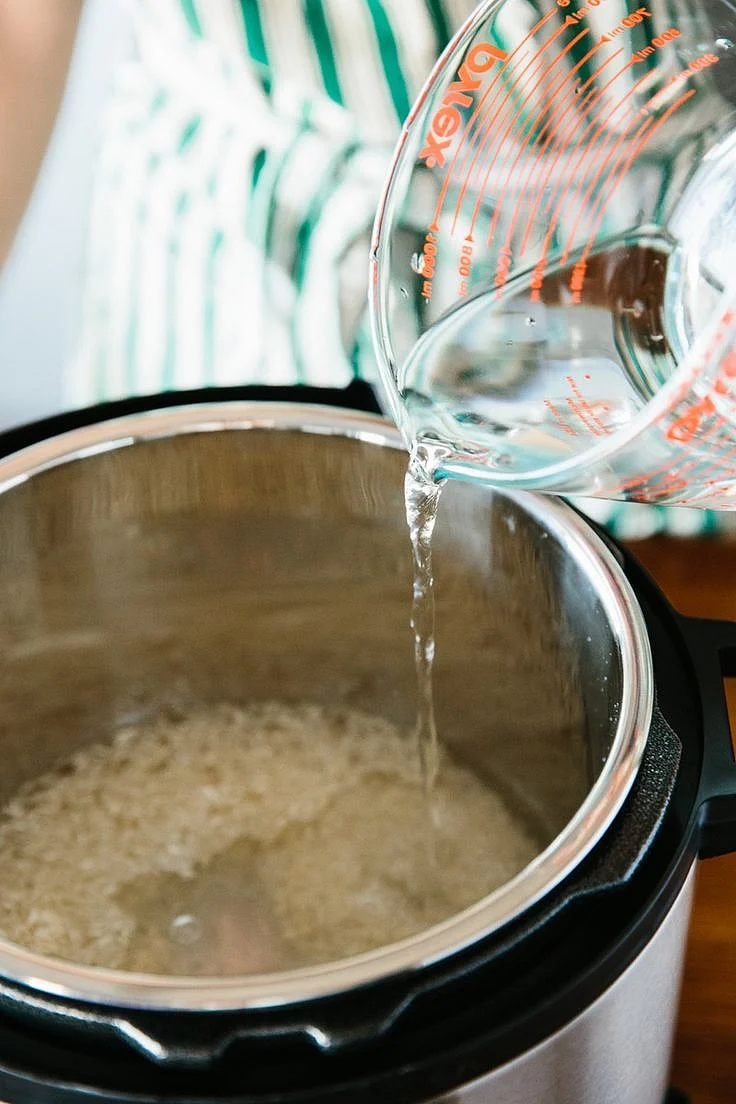pressure cooker 6