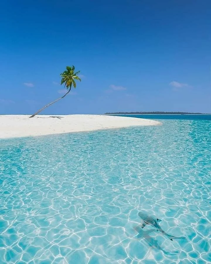 Bangaram island Lakshadweep India🇮🇳