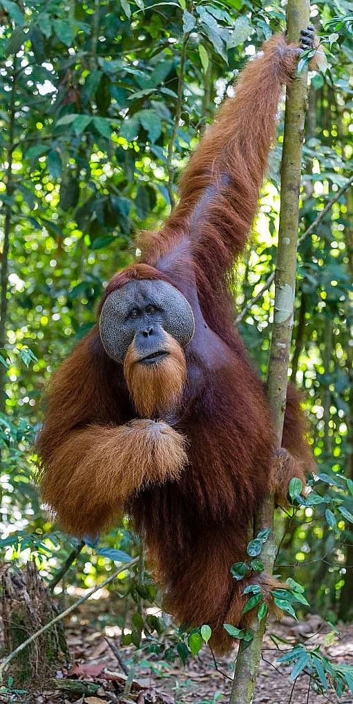 Oh nothing much just hanging around