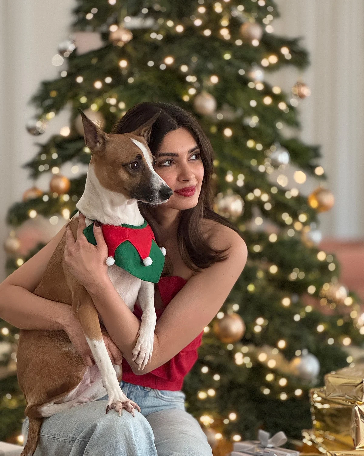 dianapenty17350455733530140589942609262294520248