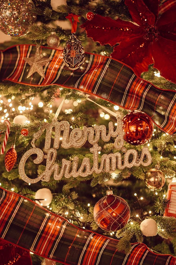 merry christmas wishes