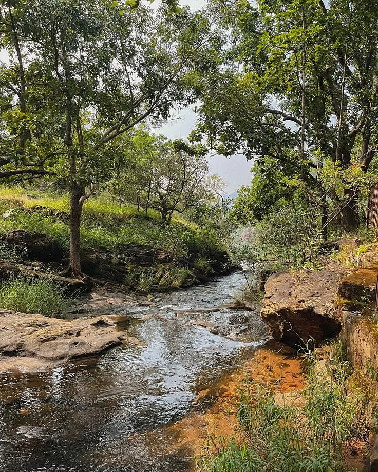 pachmarhi madhya pradesh 🐾
