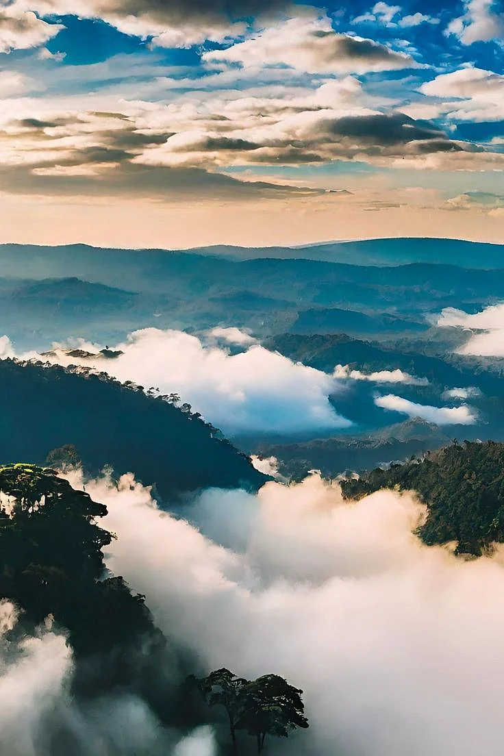 Abode of Clouds Meghalaya – shillong Tour Packages