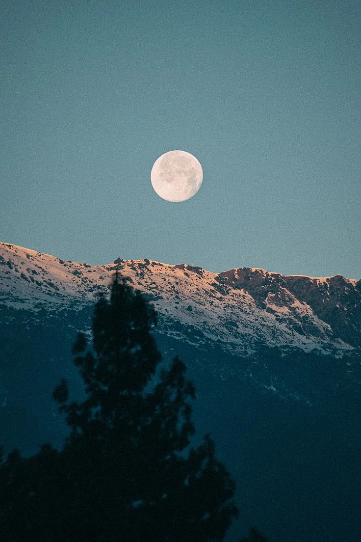 Auli