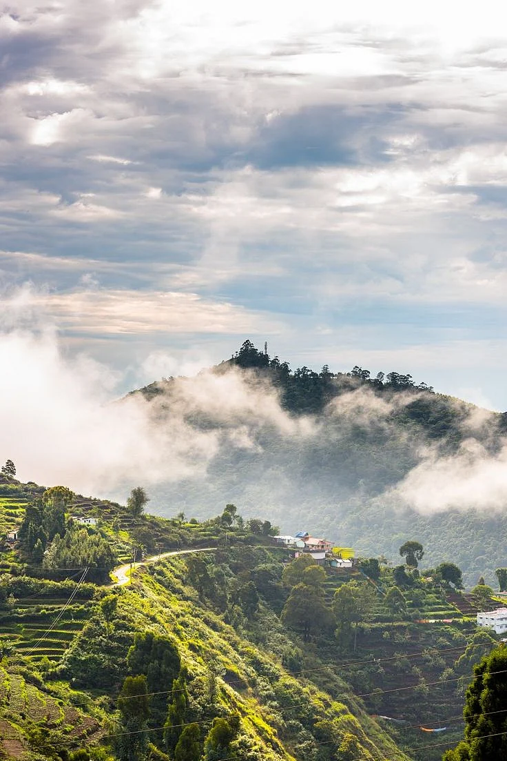 Lost in the Clouds Found in Kodaikanal ☁️ Hit ❤️ if you crave misty mornings