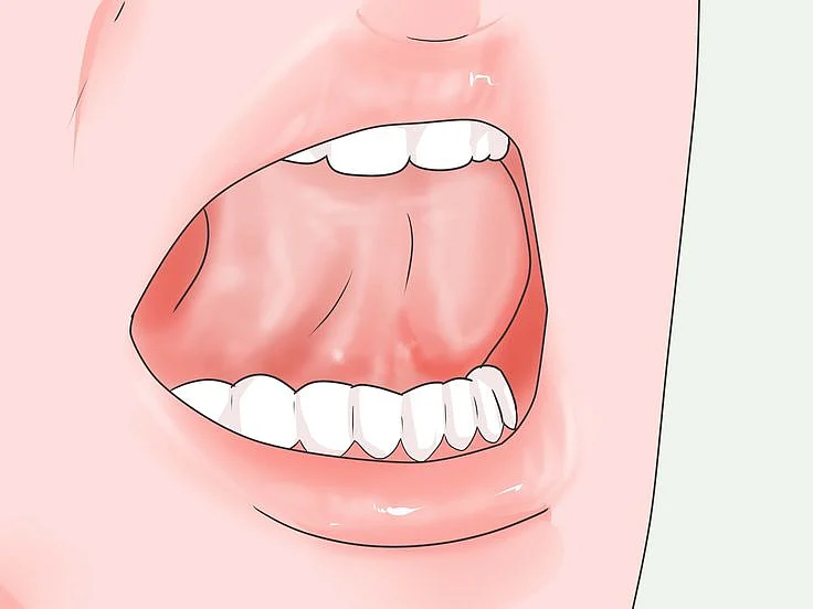 How to Gleek 11 Steps with Pictures wikiHow