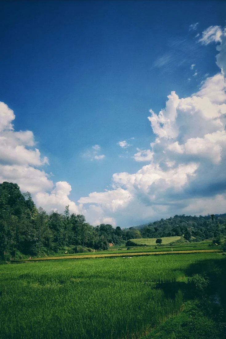 Coorg 1