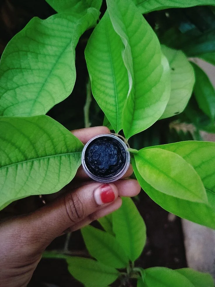 Homemade matte assorted flavoured kajal ✨☘️ 1