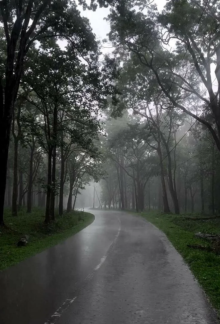 Wayanad Kerala 💚