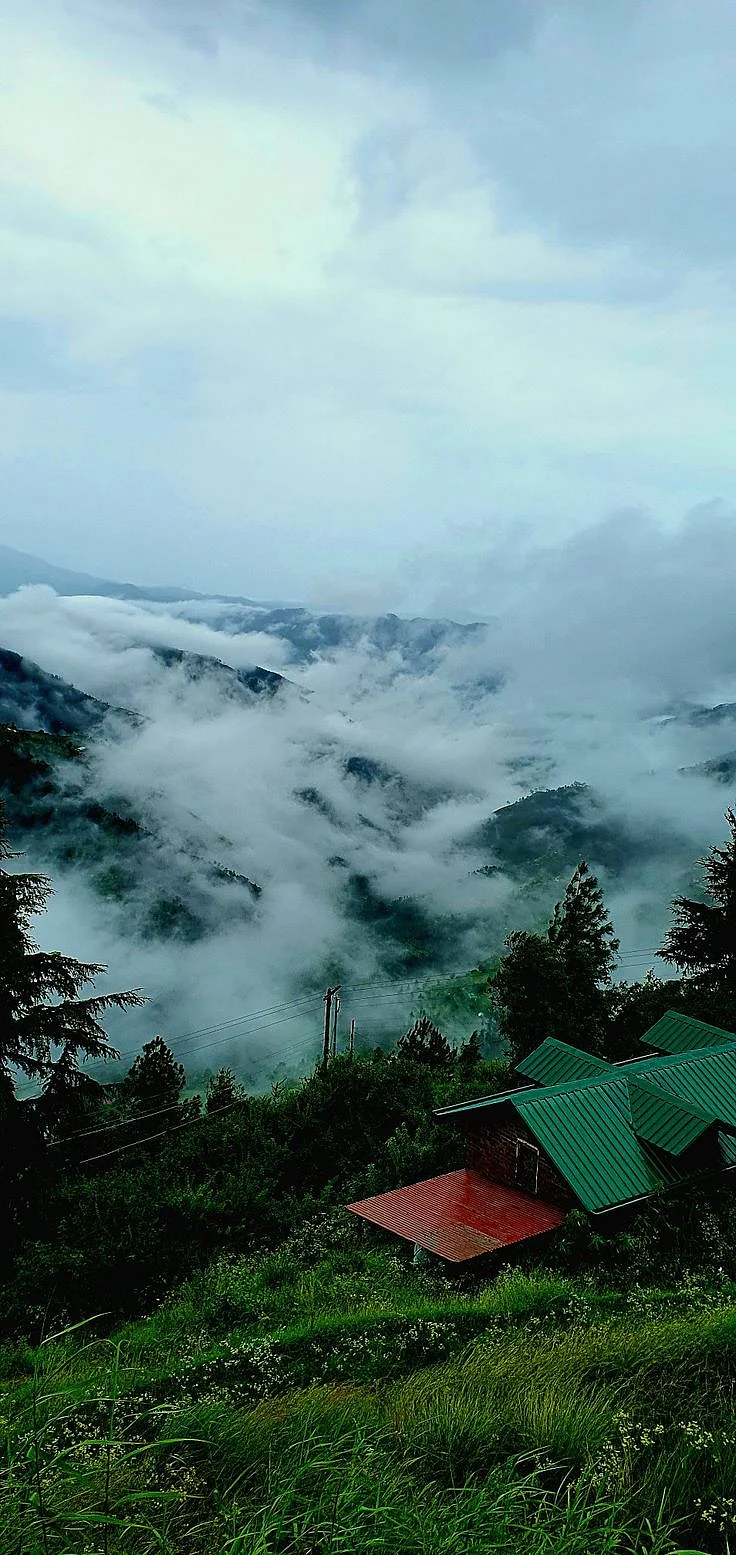 Valley view chail shimla