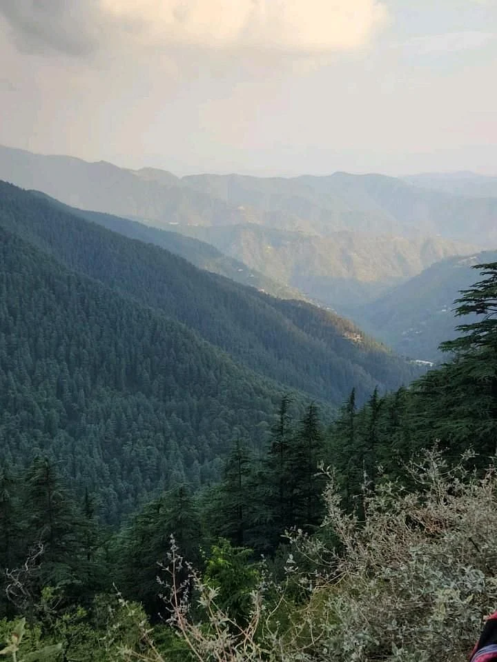 the green valley shimla