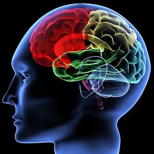 9 Steps to Reverse Dementia and Memory Loss as You Age