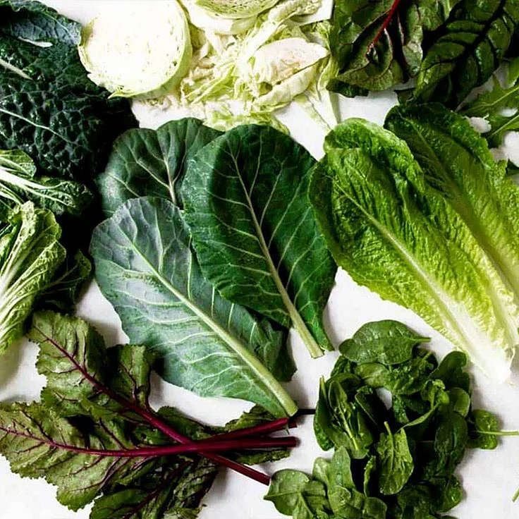 The Leafy Greens Guide