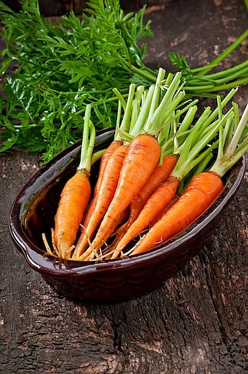 carrot 6