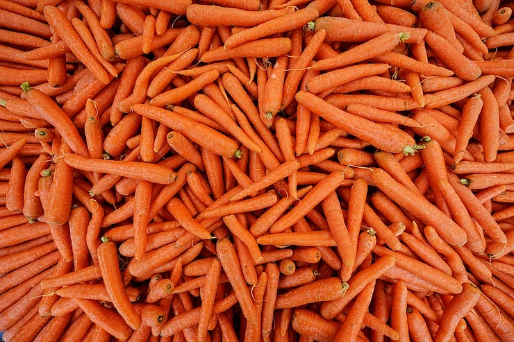 Carrot 9