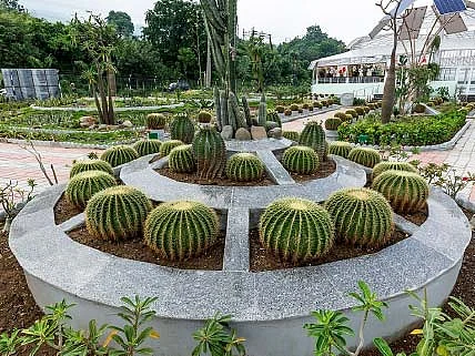 Cactus Garden of Krishi Bhawan