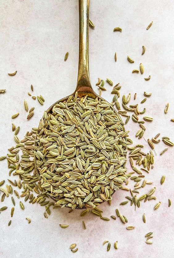 fennel 12