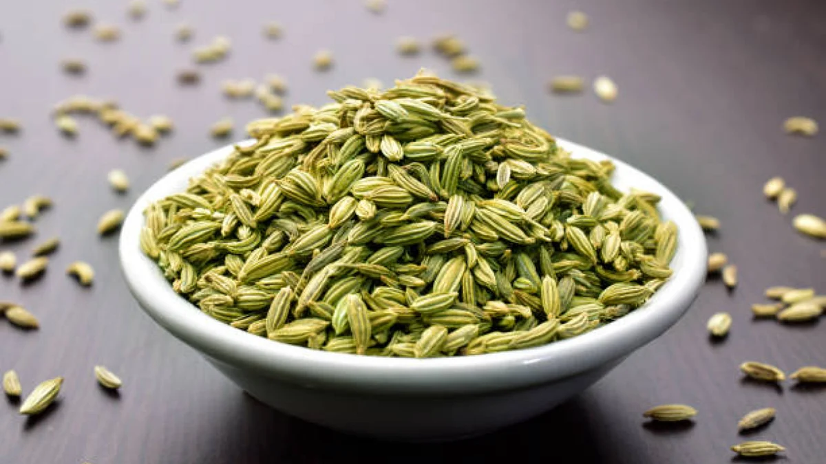 fennel 8
