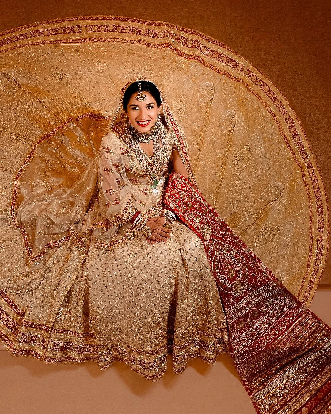 RadhikaMerchantWeddingone1720806383523