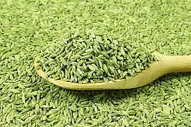 fennel 6