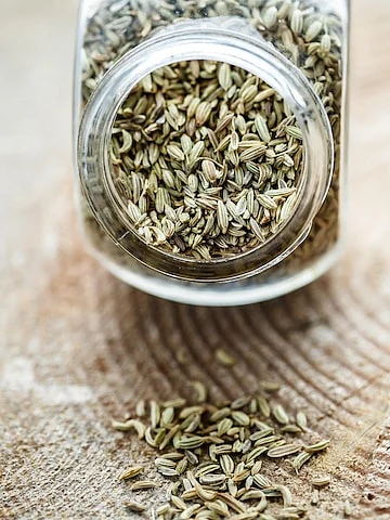 Fennel 5
