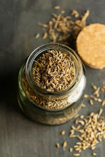 Fennel
