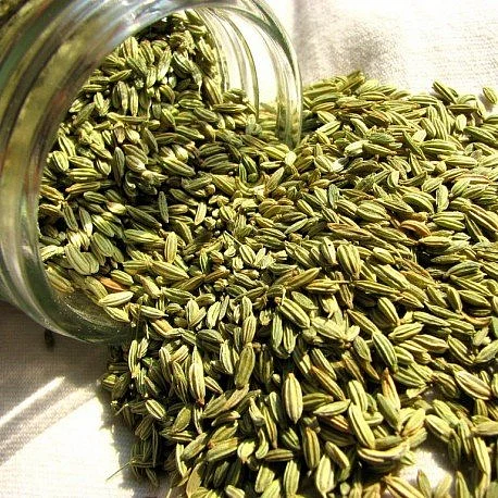 fennel 7
