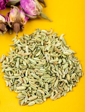 Fennel 4