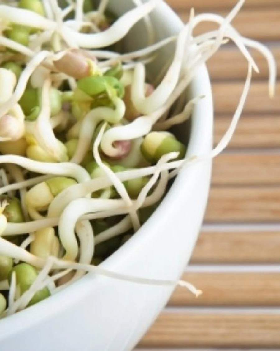 sprout8