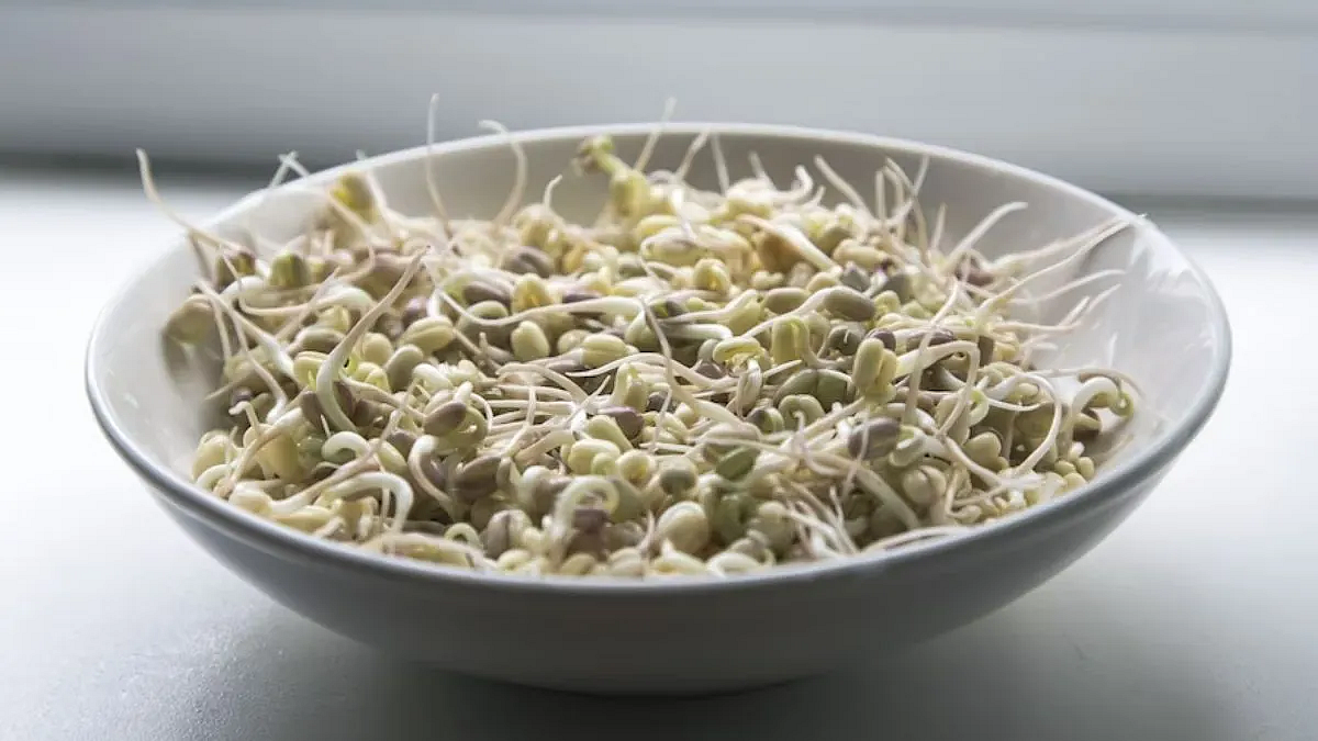sprout3