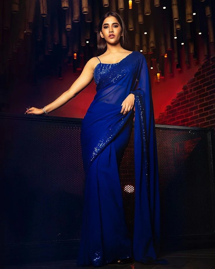 Net Blue Saree