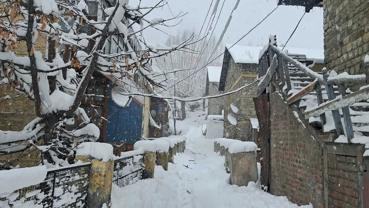 1200 675 20788663 thumbnail 16x9 himachal aspera