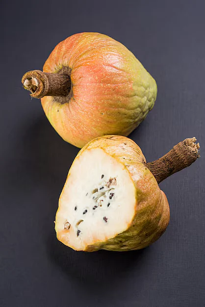 rare medicinal fruit ramphal ram fal also known as annona reticulate soursop english moody background selective focus466689 61400