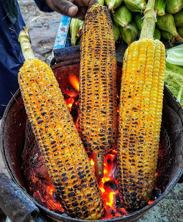Roasted Corn